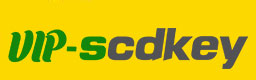 vip-sscdkey.com